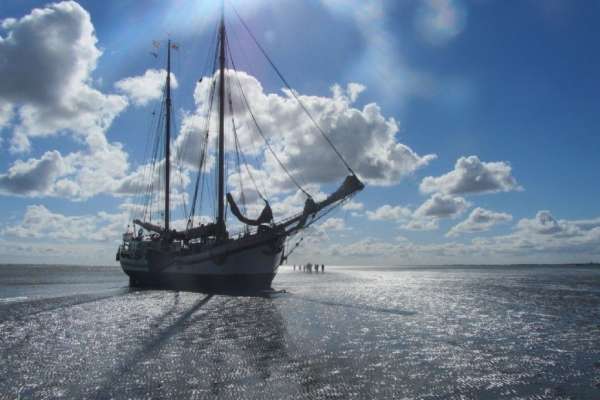 Zeven Wouden