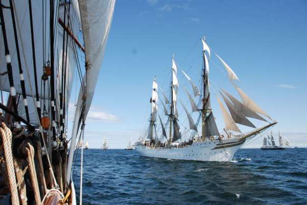 Sail Amsterdam 2020 II
