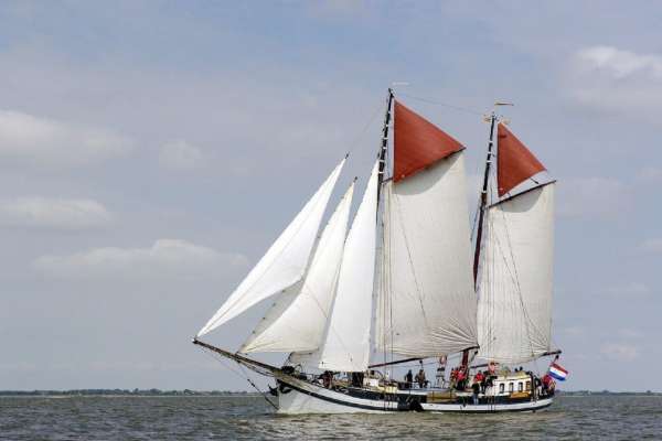 Sail Amsterdam 2020 II