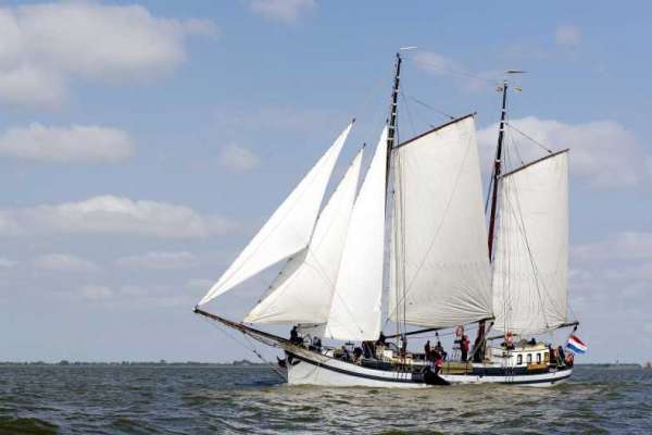 Sail Amsterdam 2020 II